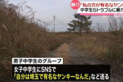「オレは有名なヤンキーだ！」「私の方が有名！」SNSのトラブルで女子中学生と暴力団組員らが男子中学生に“暴行”か　埼玉