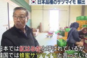 【農家悲報】韓国人、日本のブランド農産物を我が物顔で海外へ輸出開始…紅はるか・シャインマスカット・とちおとめ等続々とパクられる