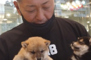 【地獄】YouTubeキッズA「清原さんには保護犬飼ってほしいな?」キッズB「押し付けんなよ」「うざ、キモ」