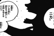 【悲報】ワンピースさん、結局強い実食べたもん勝ちを公式に認めてしまうｗｗｗ