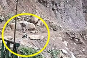 【動画】バイクの人が生き埋めになりかけた恐ろしいがけ崩れ。