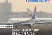 飛行中のANA機で乗客が暴れCAに噛みつく　羽田に引き返し乗客の男を逮捕