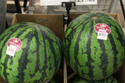日本「世界ではスイカの値段っていくらなの？こっちは2500円だ」