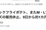 マクドナルド、ポテトMサイズとLサイズ9日から再び休止へ。