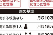【画像】３０万円の給付金、誰がどうすればもらえるの？