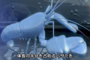 テッポウエビ、とんでもなく怖い生き物だった→その理由