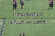 【競馬】外に逃避したタマモボイジャー、外ラチに衝突して死んでしまう