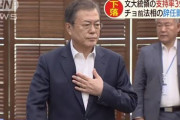 【天才】韓国・文大統領「過去2年半、崩れたこの国を立て直し、正義を全領域に拡散させた」( ﾟ∀ﾟ)o彡°ﾑﾝちゃん!ﾑﾝちゃん!