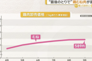 【大悲報】鶏むね肉、とんでもなく値上がりする…
