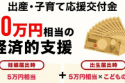 【岸田】日本政府　外国人の出産にも４７万円給付してしまう