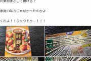 リュウジ氏が「Cook Do」に苦言「卵1/2個」「下茹で」「揚げ」レシピに「家庭の味方じゃなかったのかよ」
