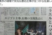 【悲報】東京新聞・望月衣塑子さん「パスレチナ」