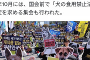 【画像】韓国で犬食禁止に🐕