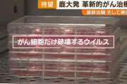 がん細胞だけを破壊するウイルス！…鹿児島大学教授が開発した画期的な「がん治療薬」 最終治験へ   [12/23]