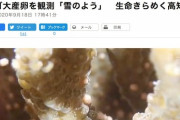 【朝日新聞】 サンゴ大産卵を観測「雪のよう」　生命きらめく高知の海
