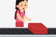 【動画】各国空港でのスーツケースの扱い方ｗｗｗｗｗｗ