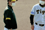 阪神　和田豊２軍監督が高知・安芸キャンプ合流　早出特守から熱血指導　岡田監督と連携　