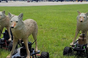 野生動物から空港を守るため、米陸軍が開発した「ロボットコヨーテ」！