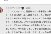 【全米驚愕】フランス人さん、とんでもないルートで野球に目覚めてしまうwxwxwxwxw