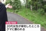 【新潟県長岡市】帰宅した20代女性がクマに襲われ軽傷「人かなと思って見たらクマで、『クマだ』と思った瞬間に追いかけてきた」