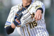 阪神　育成の横山雄哉、石井将希投手を支配下登録