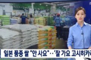 【韓国テレビ局】 日本品種の米「コシヒカリ」「アキバレ」買いません！！　販売される米の60%以上が日本品種　日本のものはとにかく種子でも何でも食べてはいけない