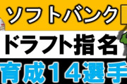 【大台突破】大正義福岡ソフトバンクホークスさん、育成選手の指名累計が101人になる