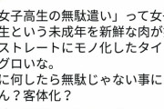 【悲報】フェミ「『女子高生の無駄遣い』って未成年を新鮮な肉が如くストレートにモノ化したタイトルグロい」