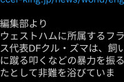 【動画】サッカーフランス代表のズマ、猫虐待動画で大炎上……