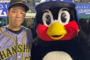 阪神ファンが好きなヤクルトの選手