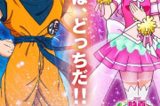 【画像】ドラゴンボールVSプリキュア実在したのか・・・