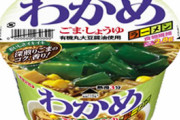 “わかめをのせたラーメンは売れない”定説を覆したエースコック「わかめラーメン」が40年間愛されたワケ