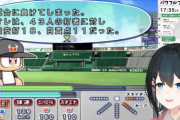【にじさんじ】オレは9回投げさせられて被安打17被本塁打5 11失点だった