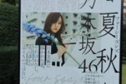 【乃木坂46】フォーシーズンズ今月までだけど皆はもう行ったの？？？