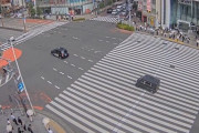 モペットに載ったアホが盛大に事故る