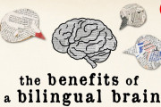 バイリンガルの脳が持つ利点 海外の反応