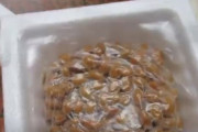 【動画】この納豆のフィル厶の取り方便利すぎｗｗｗｗｗ