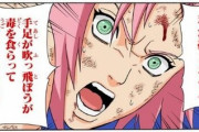 【NARUTO】岸影「サクラの人気を出そうと思ったけどどうしてか人気が出たのはヒナタだったんですよね(笑)」