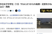 登校中の女子中学生（13）サルにぶつかられ転倒して軽傷