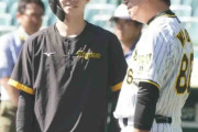 阪神・中野拓夢、和田豊Cから20分〝青空講義〟のち決断　「最多安打」獲得の23年型中野に戻す　今季は「振り上げるようなスイング」で自己ワースト打率・232
