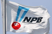 NPBがFA制度の見直しを検討…人的補償の撤廃も選択肢に