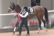 【競馬予想】第17回レパードステークス(G3) /2025
