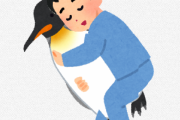 【悲報】僕くん、元カノに貰ったペンギンの抱き枕を10年使い続けてしまう