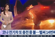 韓国人「また韓国製電気自動車が炎上！」現代自動車「コナ」が充電中にまた火災…2018年以降14台目　韓国の反応