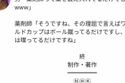 男「薬剤師って薬を袋に入れてるだけ」→薬剤師「サッカーはボール蹴ってるだけ、M-1は喋ってるだけ」 |  薬剤師は薬を袋に入れて人に感動を与えているのか？