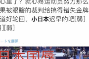 【悲報】中国さん、体操で橋本に金メダルを取られて発狂。採点がおかしいと難癖をつける