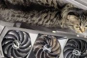 【ねこ画像】PC作業中、マウスかと思ったら猫でした…幸せな時間ですwww