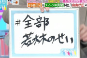 【日向坂46】『ラヴィット！』で一番好きなシーンｗｗｗｗｗｗｗ