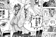 【悲報】ワンピースのワノクニ編ラスト「燃えてなんぼの黒炭に候！」←これの真意、未だに分からない