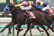 【日経賞】重賞初挑戦シュトルーヴェ(セン5)が差し切りV！11戦目で重賞初制覇